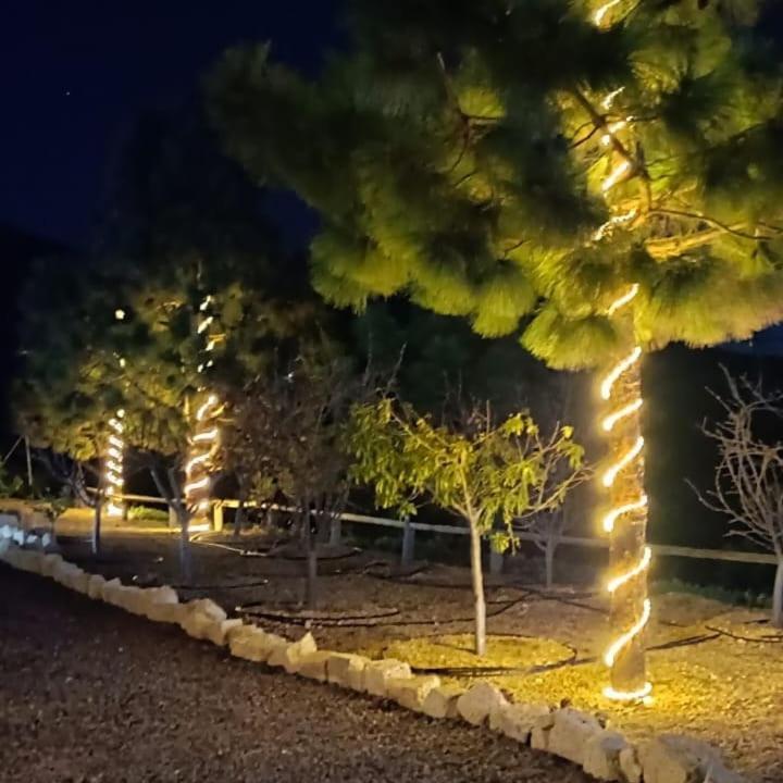Finca La Baifa ซานตาครูซ เด เตเนริเฟ ภายนอก รูปภาพ