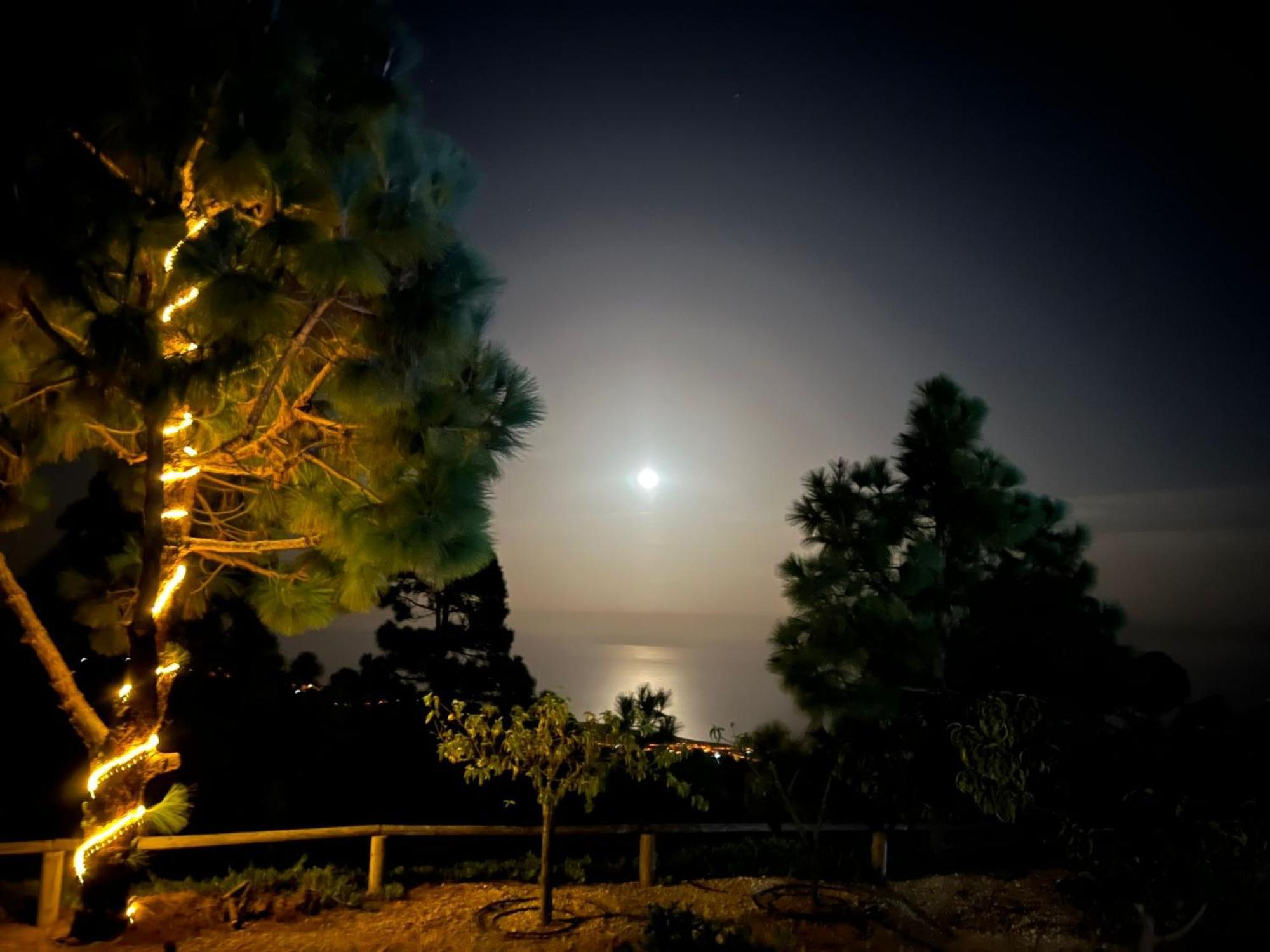 Finca La Baifa ซานตาครูซ เด เตเนริเฟ ภายนอก รูปภาพ